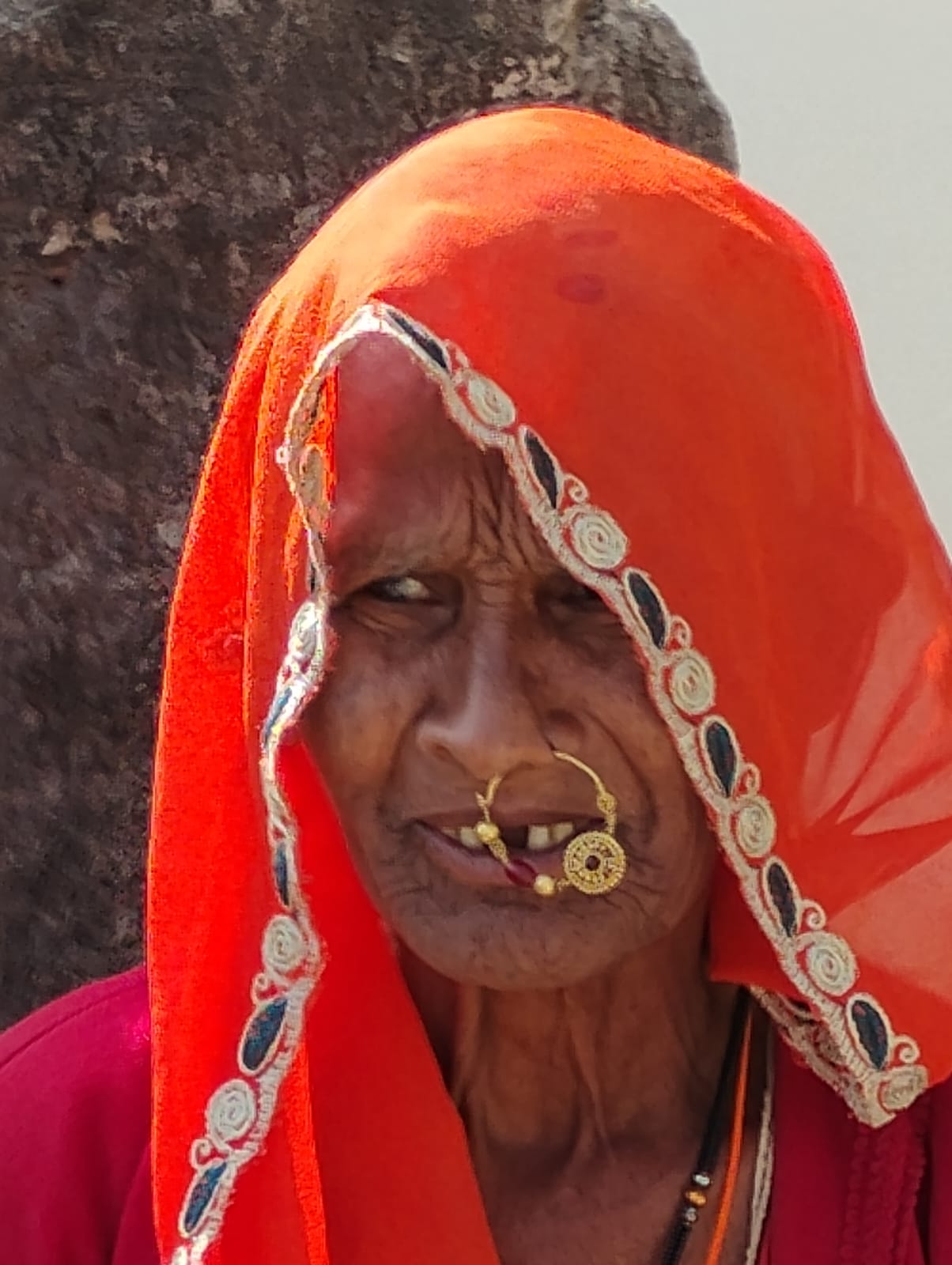 GUIDED CENTRAL INDIA TRIBAL TOUR photo 3