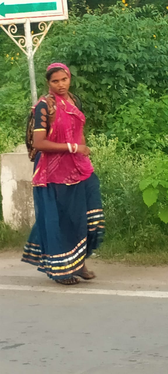 GUIDED CENTRAL INDIA TRIBAL TOUR photo 5