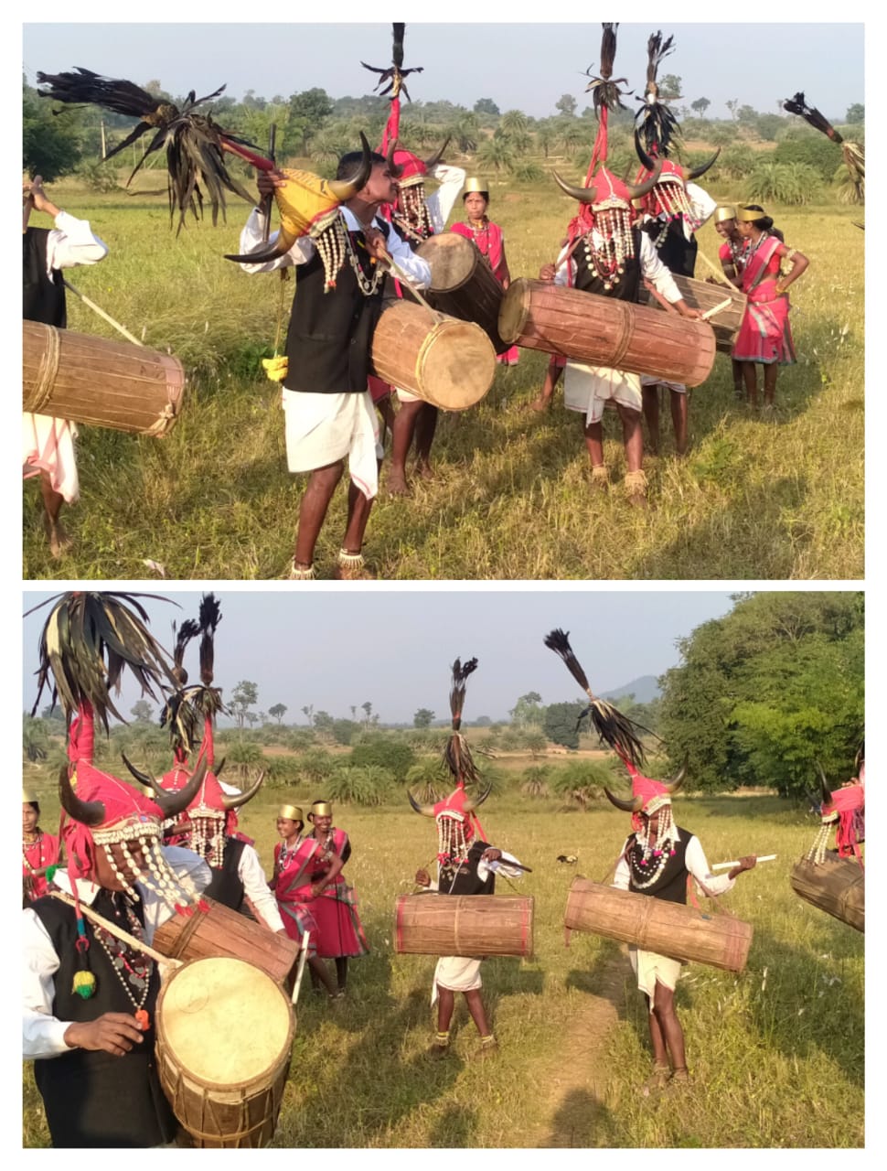 GUIDED MADHYA PRADESH & BASTAR TRIBAL TOUR photo 2